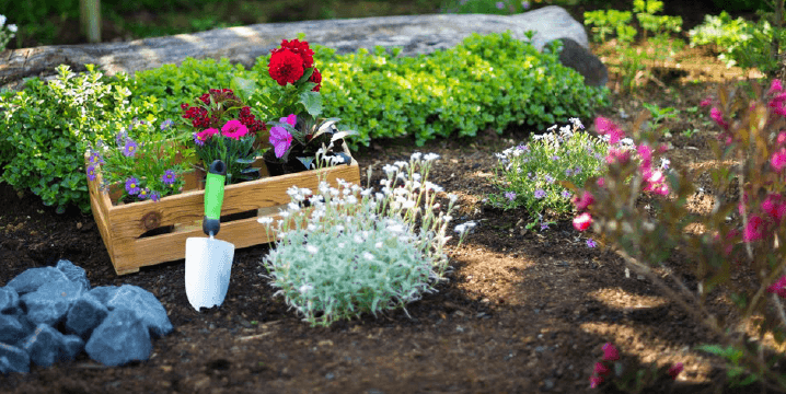 Wooden planter holding vibrant flowers, trowel rests nearby in lifestyle village garden featuring lush green plants, colorful blooms, log/stone accents in sun.