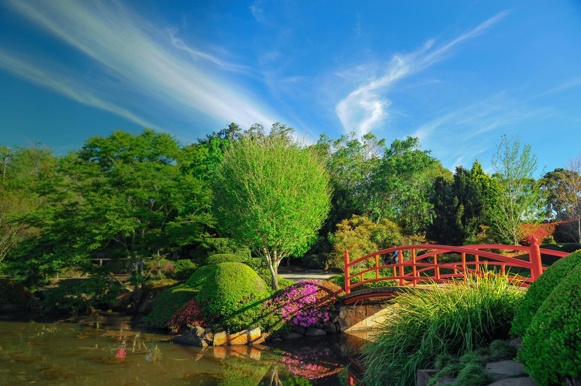 Red wooden bridge arcs over a pond in a serene garden setting, surrounded by lush greenery, colorful flowering plants, and bright blue sky with wispy clouds.